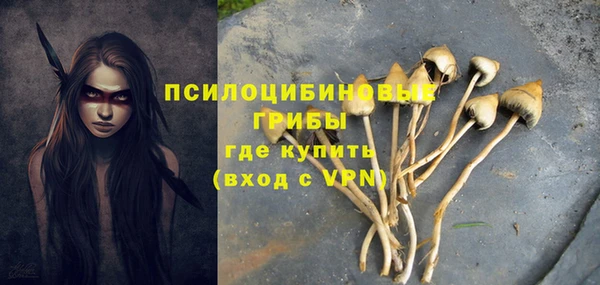 каннабис Алзамай