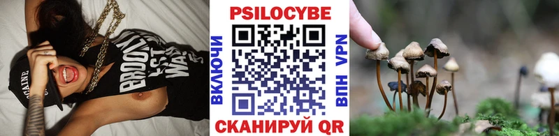 Галлюциногенные грибы Psilocybe  Балабаново 